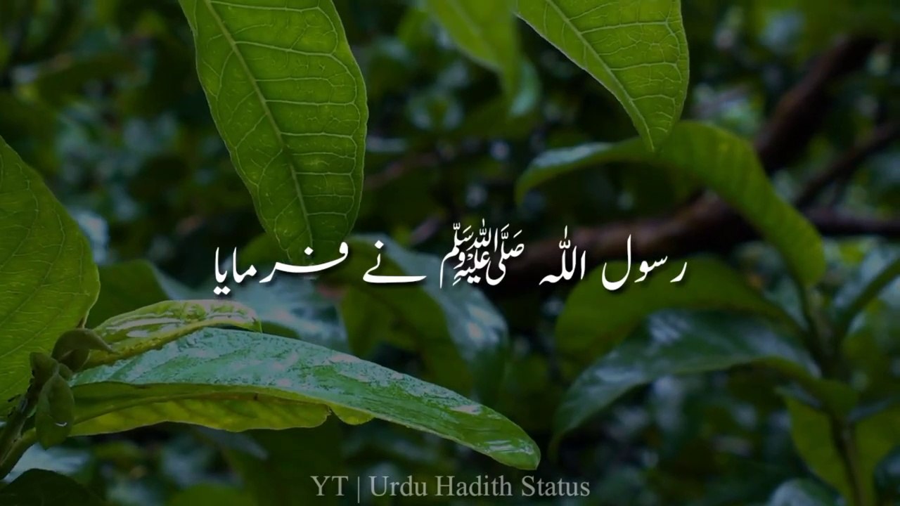 Hadees In Urdu Status For Whatsapp __ Hadees Status New Video __ ✨Urdu Hadith Status✨(720P_HD)