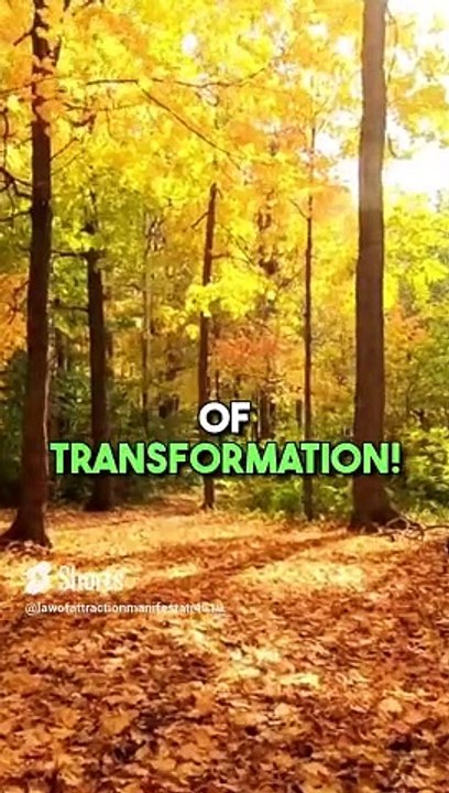 1515 Angel Number: Major Life Changes Ahead! 