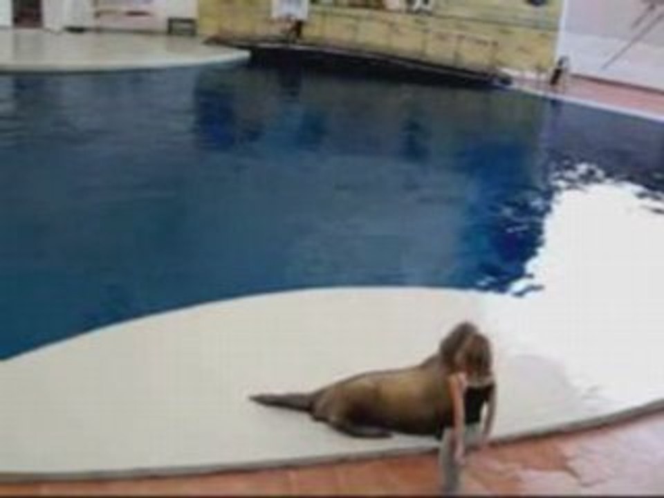 Dancing seal