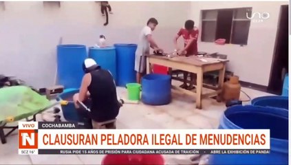 Clausuran casa que funcionaba como peladora ilegal de menudencias