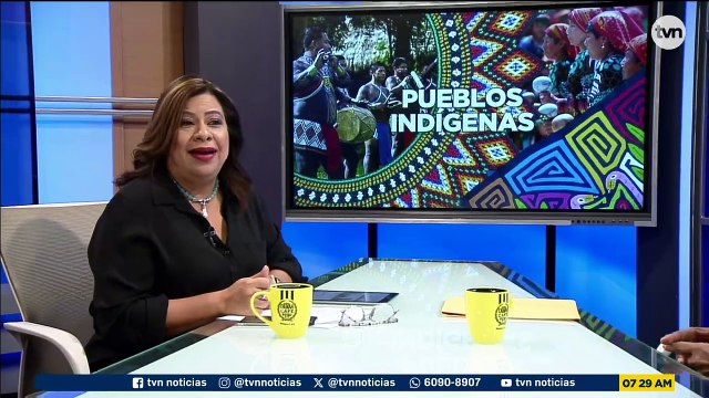 Sin tierra no Valemos | Pueblos indígenas en Panamá piden freno a la sedición de territorios comarcales