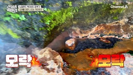 바다와 온천을 모두 즐길 수 있는 곳이 있다?! 뉴질랜드의 자연 온천!