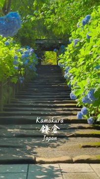 JAPAN KAMAKURA #shorts #japantravel #japan