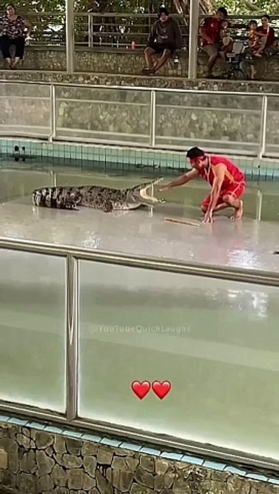 Funny Fails   .