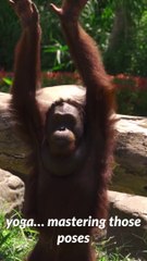 Workout 's Magic #workoutroutien #excercise #loosingweight