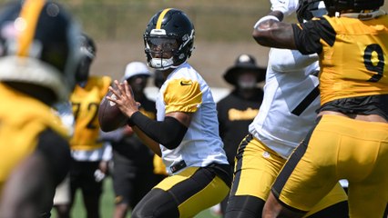 NFL Preseason Preview: Steelers vs. Texans on Friday Night