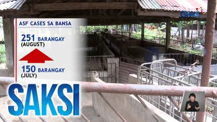251 barangay sa bansa, may aktibong kaso ng ASF batay sa datos ng DA | Saksi