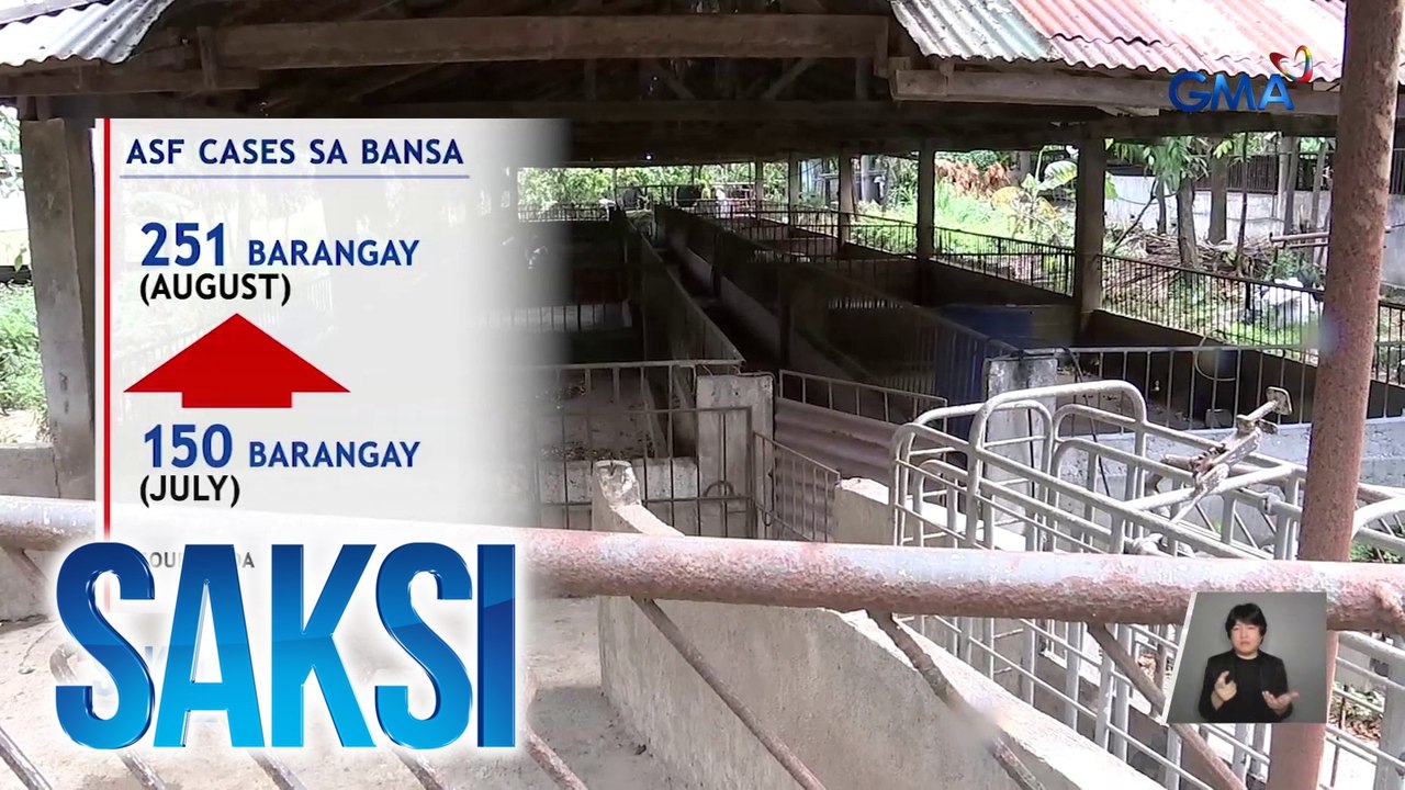 251 barangay sa bansa, may aktibong kaso ng ASF batay sa datos ng DA | Saksi