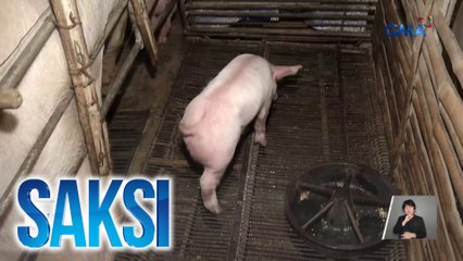 Saksi: (Part 2)  Pagtaas ng bilang ng kaso ng ASF; Bigtime oil price rollback