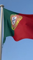 OBRIGADO PEPE ❤️ Quel carrière… Ne serait-il pas en réalité la plus grande LÉGENDE de la Seleçao ? 