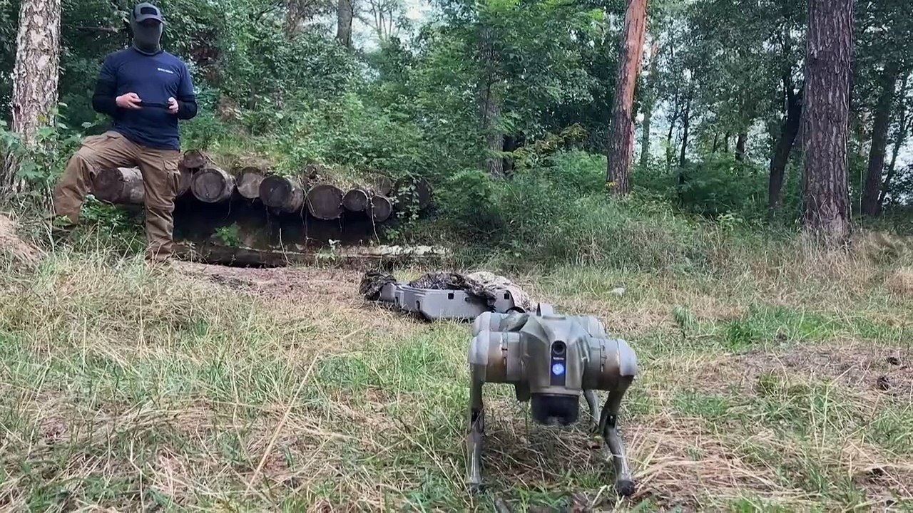 Robot dogs could be unleashed on Ukraine's front lines