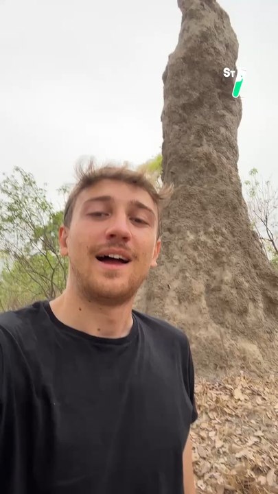 Sais-tu jusqu’à quelle hauteur les termites peuvent construire ? Réponse avec @mathieucourdesses !