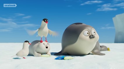 Teeny Tiny Tough Baby Seal_ _ Baby Seal Special _ Sealook Compilation