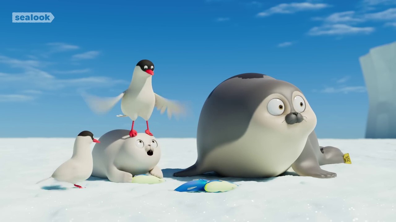 Teeny Tiny Tough Baby Seal_ _ Baby Seal Special _ Sealook Compilation