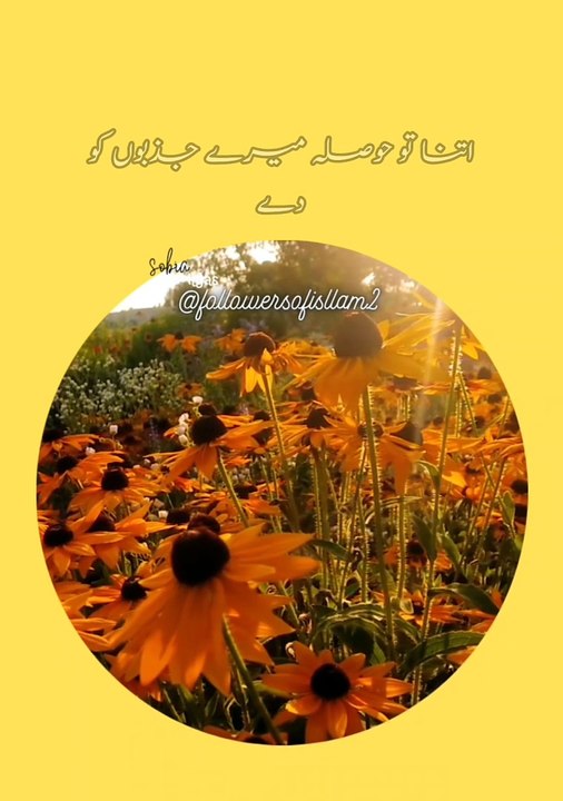 beautiful Islamic short 