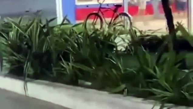 Homem se irrita e dá 'capacetadas' em caixas eletrônicos de agência bancária de São Vicente; VÍDEO