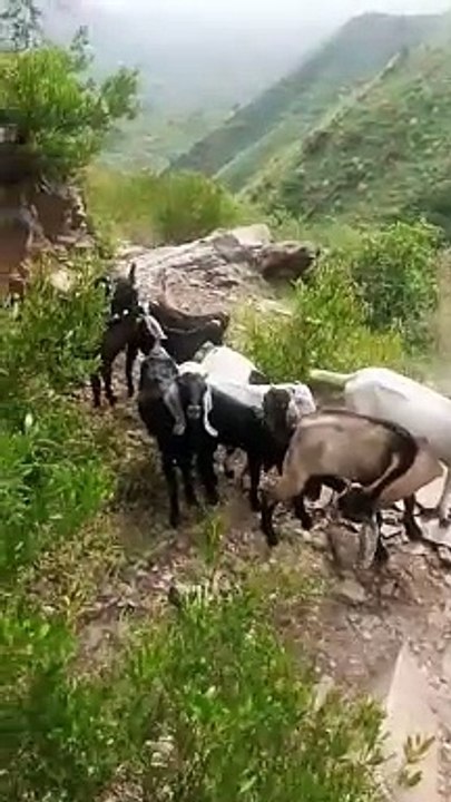 Beautiful place in Azad Kashmir