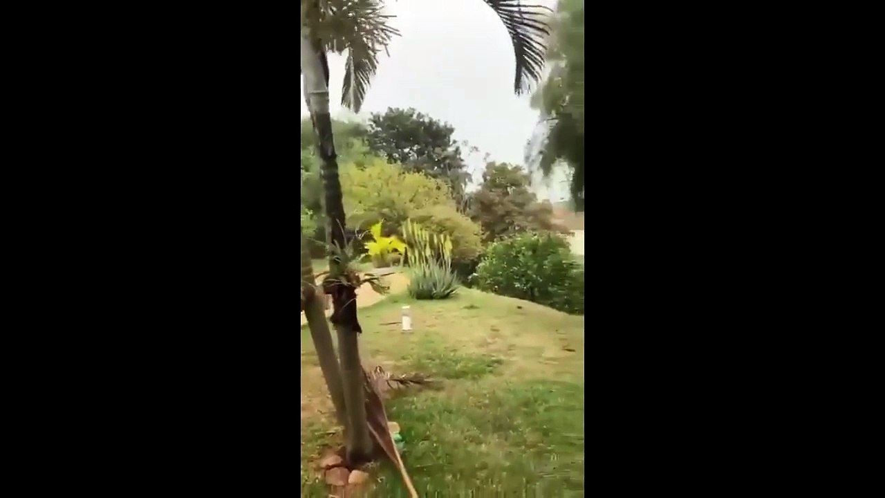 Avião de passageiros cai em Vinhedo, no interior de SP