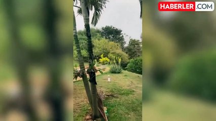 Brezilya'da 68 kişilik yolcu kapasiteli uçak düştü