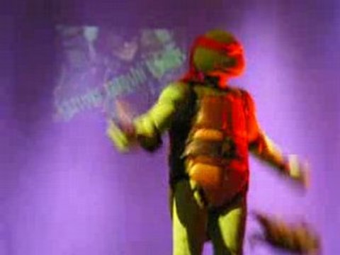 Cosplay Tortue Ninja