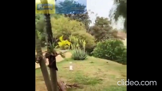 ragédia nos Céus: Queda de Avião em Vinhedo Levanta Questões Sobre a Segurança Aérea no Brasil