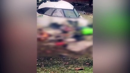 Cenas fortes! Vídeo mostra, ao menos, quatro mortos após queda de avião no interior de São Paulo