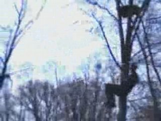 FR accrobranche 2e round