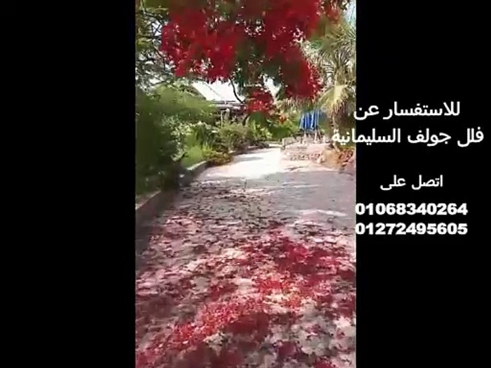 جولف السليمانية طريق مصر اسكندرية الصحراوي