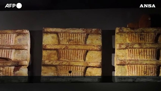 Nefertari torna al Museo Egizio di Torino