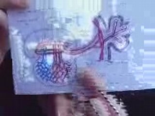 54-100% proof the Qur'an is The Word of God