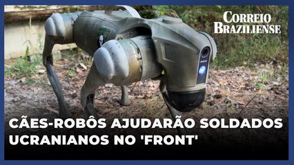 Cães-robôs serão usados em missões perigosas por soldados da ucranianos