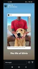 meglio silvio che certe persone