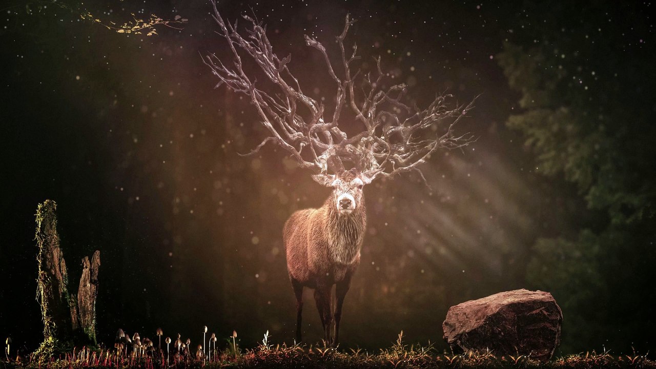 Stylo Beats - Jungle Of Tomorrow