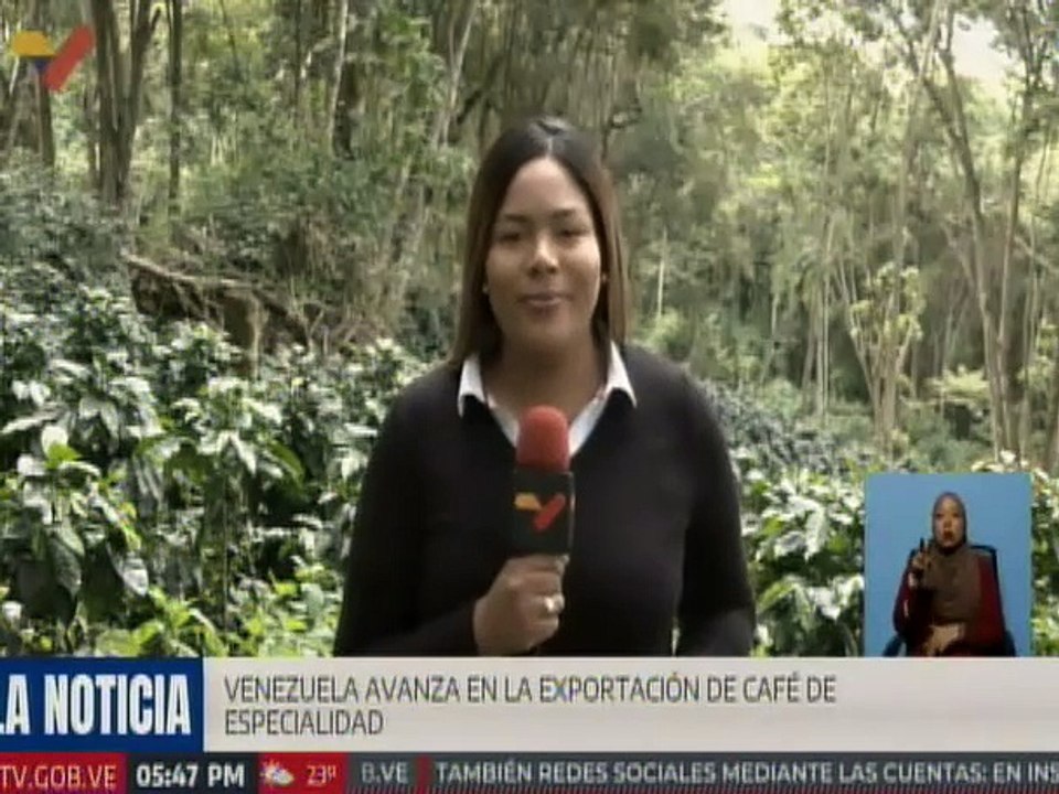 Miranda | Venezuela exportó a Japón más de 10 mil kilos de café