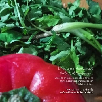 -ANDRÉS DE JESÚS VÉLEZ FRANCO- Parques Nacionales de Colombia que Debes Visitar a (PARTE 1) (@AndresdeJesus90)