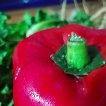 -ANDRÉS DE JESÚS VÉLEZ FRANCO- Parque Nacional Natural Sumapaz (PARTE 1) (@AndresdeJesus90)