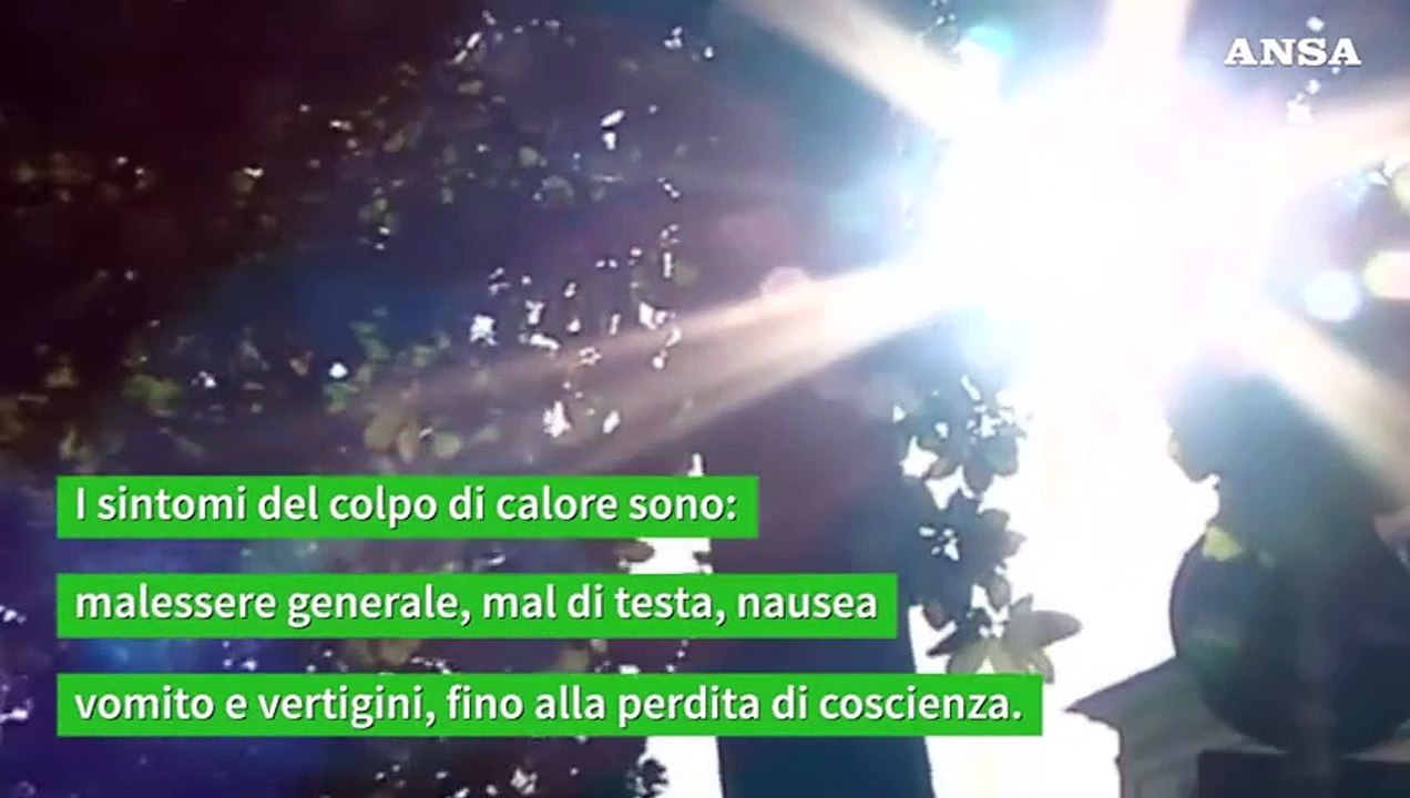 Il colpo di calore puo' far collassare il fegato, ecco come