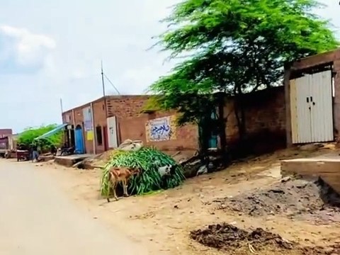 Pind de Zindagi village life in Punjab pind Punjab dey very unique and wonderful village life