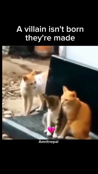 Villans are not Born, They Are made