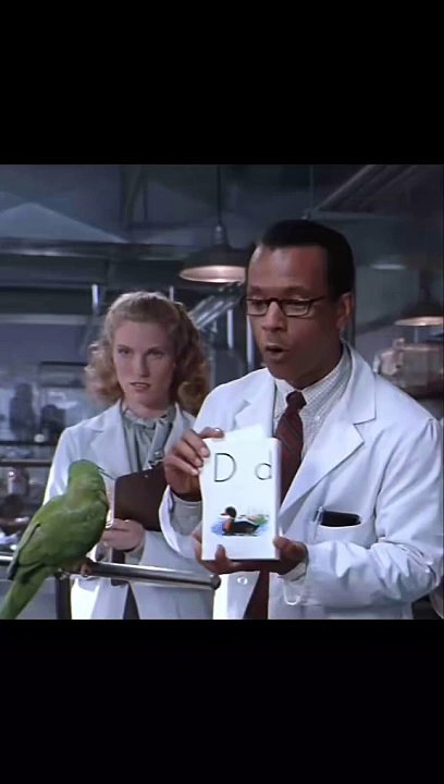 A talking Parrot - Funniest movie scene in History