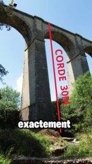 TOP 4 DES DARWIN AWARDS