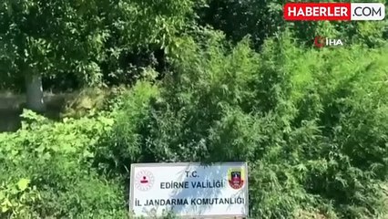 26 ilde uyuşturucuya yönelik operasyon: 91 şüpheli gözaltına alındı