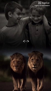 lvtemp_41c98219-910f-4980-87eb-15e6562165066