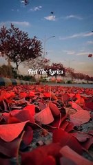 بیوٹی فل ویڈیو ،بیوٹیفل سونگ