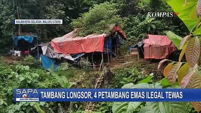 Tambang di Halmera Selatan Longsor, 4 Petambang Emas Ilegal Tewas Usai Terjebak dalam Lubang