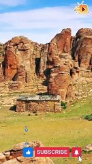 BEST VIDEOS OF BEAUTIFULL BIRDS