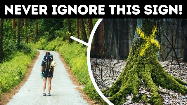 100+ Survival Tips for When the Going Gets Tough