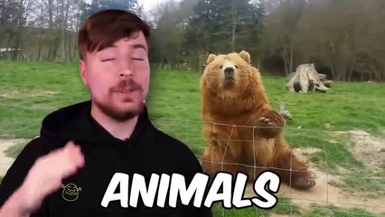 World's Cutest Animals!