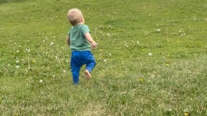 Little boy's playful spirit shines as he rolls down the park hill
