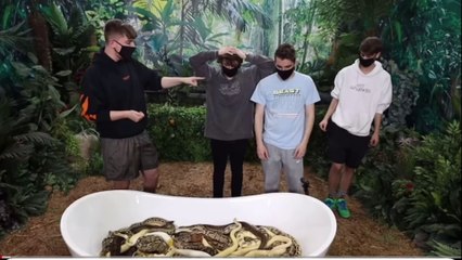 Would You Sit In Snakes For $10,000?